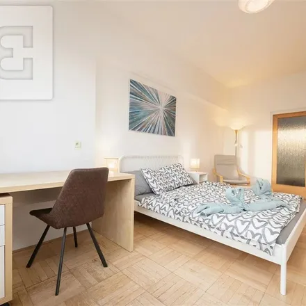 Image 4 - Pellicova 669/67, 602 00 Brno, Czechia - Apartment for rent