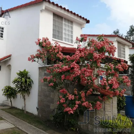 Rent this studio house on Calle Venustiano Carranza in COLONIA GUADALUPE VICTORIA, 89603 Altamira