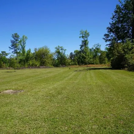 Image 4 - 161 Charlie Gaskin Drive, Wewahitchka, FL 32465, USA - House for sale