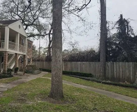 Rent this 1 bed condo on 881 Wax Myrtle Ln in Houston, Texas