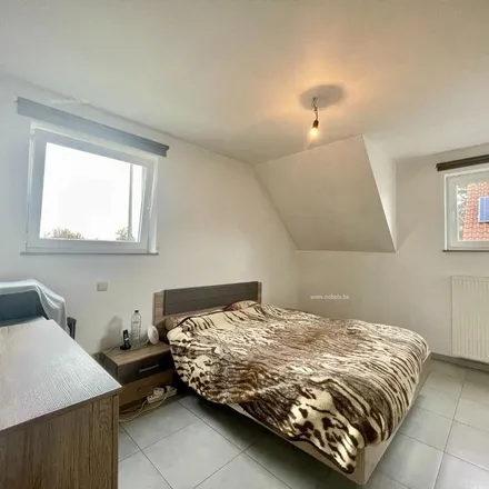 Image 4 - Markt, 9700 Oudenaarde, Belgium - Apartment for rent