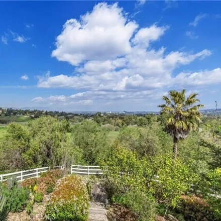 Image 7 - 24999 Kit Carson Road, Hidden Hills, Los Angeles County, CA 91302, USA - House for sale