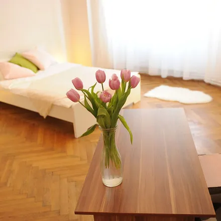 Rent this 1 bed apartment on Masarykova 407/22 in 602 00 Brno, Czechia