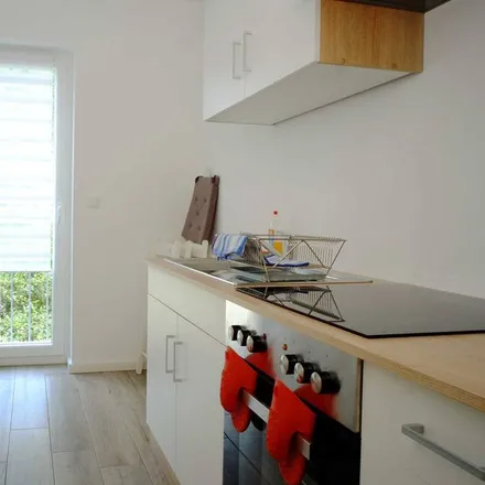 Rent this 1 bed apartment on Wittenberg in Saxony-Anhalt, Germany