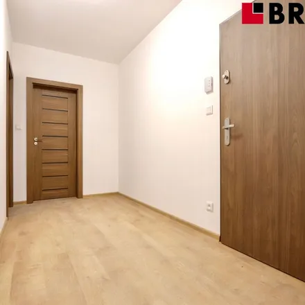 Image 5 - Škroupova 3889/41, 636 00 Brno, Czechia - Apartment for rent