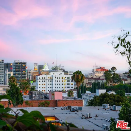 Image 4 - 6239 Holly Mont Drive, Los Angeles, CA 90068, USA - House for rent