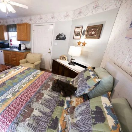 Image 5 - Fancy Gap, VA, 24328 - House for rent