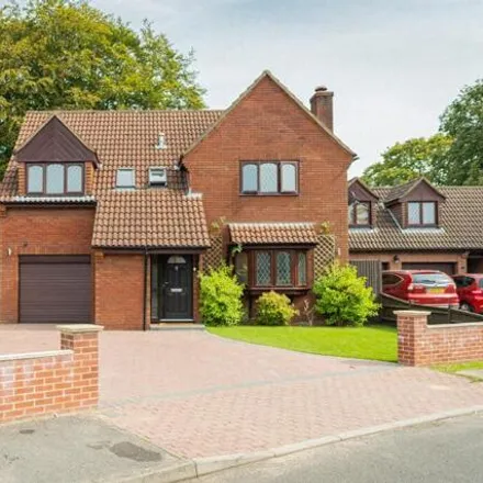 Image 1 - unnamed road, Dibden Purlieu, SO45 3RT, United Kingdom - House for rent