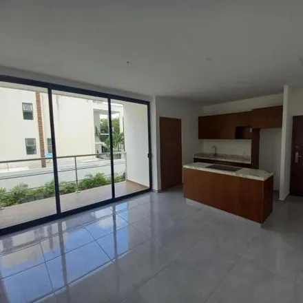 Rent this 3 bed apartment on Calle Carlos Salinas de Gortari in 77560 Alfredo V. Bonfil, ROO