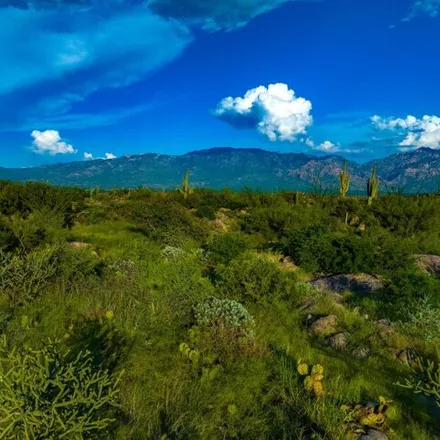 Image 8 - North Slippery Ridge Loop, Oro Valley, AZ 45755, USA - House for sale