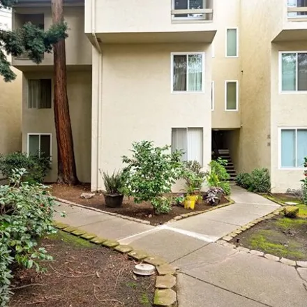 Buy this 1 bed condo on Contra Costa Canal Trail in Walnut Creek, CA 94597