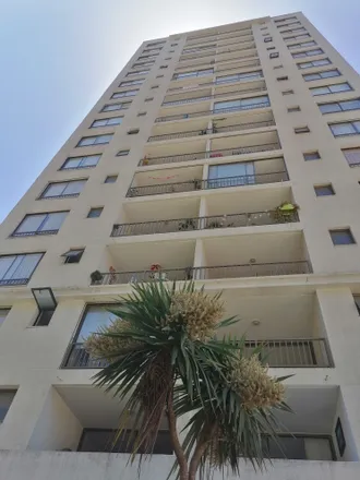 Rent this 1 bed apartment on Edificio Valle Los Ingleses in Camino Los Ingleses, 239 0382 Valparaíso