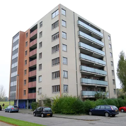Image 7 - Hoge Filterweg 130, 3063 KC Rotterdam, Netherlands - Apartment for rent