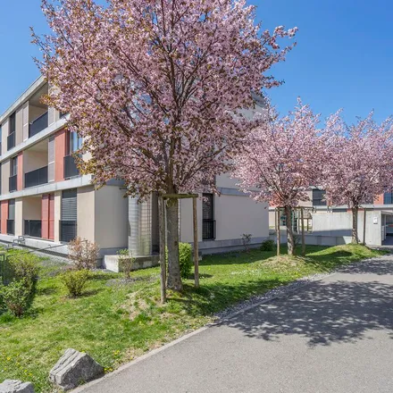 Image 6 - Talackerstrasse 55, 3604 Thun, Switzerland - Apartment for rent