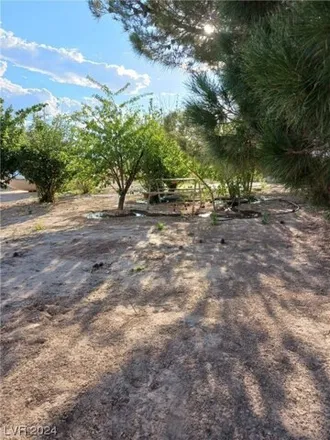 Image 5 - West Silver Sage Drive, Pahrump, NV 89048, USA - House for sale