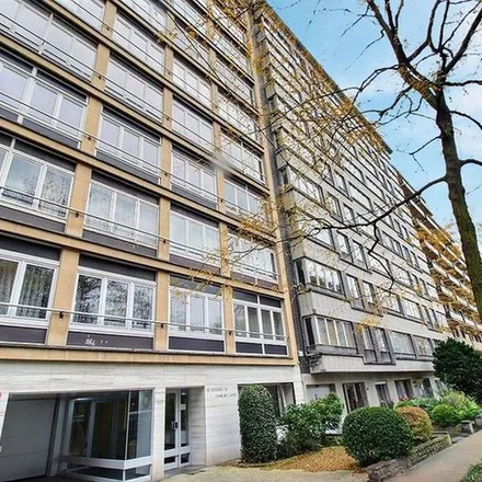 Image 7 - Avenue de la Basilique - Basilieklaan 363, 1081 Koekelberg, Belgium - Apartment for rent