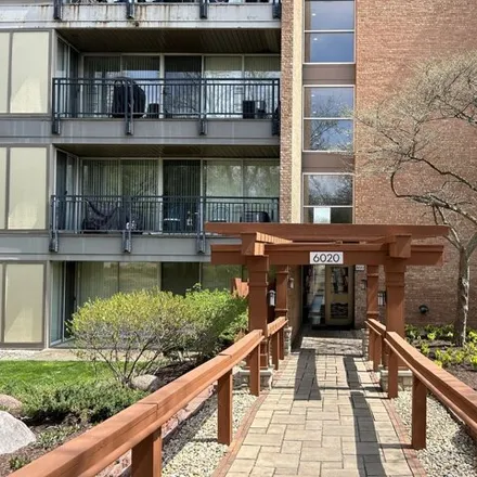 Rent this 1 bed condo on 6003 Oakwood Drive in Lisle, IL 60532