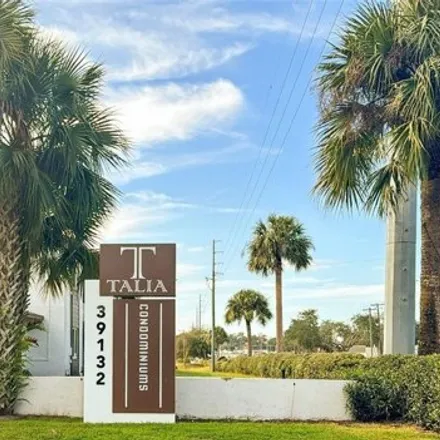 Image 2 - Talia, Pasco County, FL 33540, USA - Condo for rent