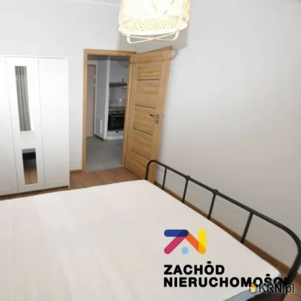 Image 8 - Krzywe Okna Apartamenty, Aleja Konstytucji 3 Maja 2, 65-454 Zielona Góra, Poland - Apartment for rent