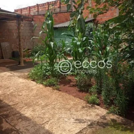 Buy this 3 bed house on Rua José Aparecido Martins Júnior in Jardim Europa, Uberlândia - MG