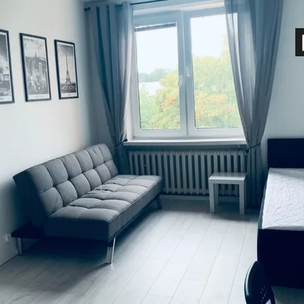 Image 6 - Borowska 99, 50-558 Wrocław, Poland - Room for rent