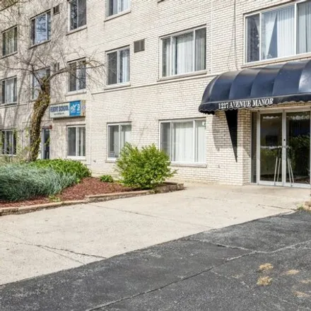 Image 1 - 1227 South Harlem Avenue, Berwyn, IL 60402, USA - Condo for sale