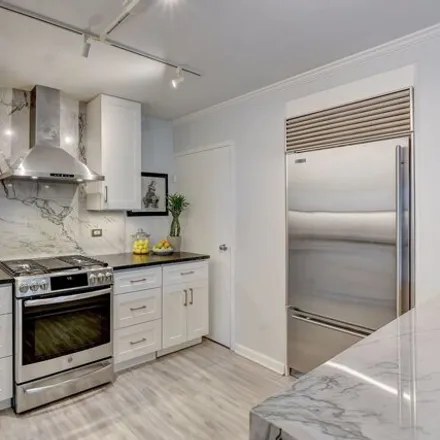 Image 3 - 247 East Chestnut Street, Chicago, IL 60611, USA - Condo for sale