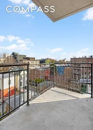 Image 3 - 485 East 28th Street, New York, NY 11226, USA - House for rent