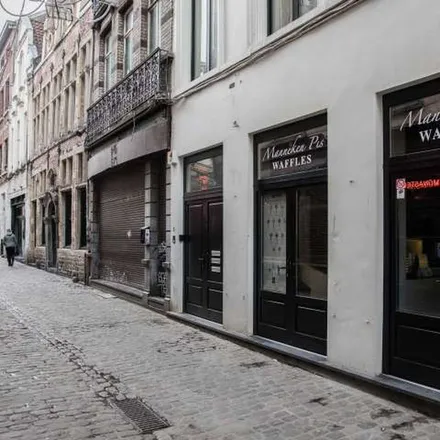 Image 4 - Rue des Dominicains - Predikherenstraat 8, 1000 Brussels, Belgium - Apartment for rent
