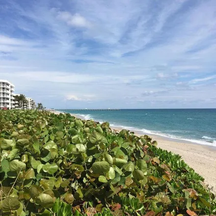 Image 4 - 3198 South Ocean Boulevard, Palm Beach, Palm Beach County, FL 33480, USA - Apartment for rent