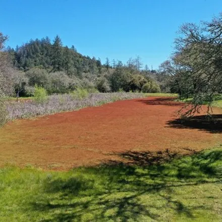 Image 6 - Petrified Forest Road, Sonoma County, CA, USA - House for sale