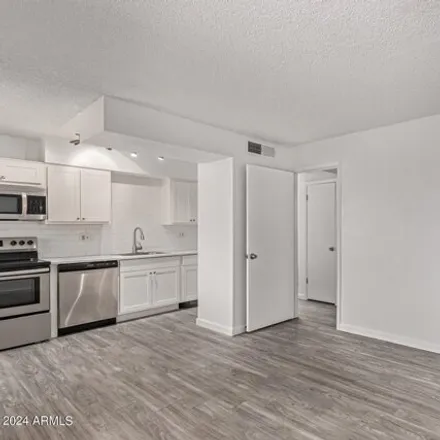 Image 5 - 1063 South Wilson Street, Tempe, AZ 85281, USA - Apartment for rent