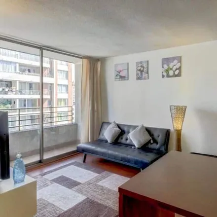 Image 8 - Santiago, Provincia de Santiago, Chile - Apartment for rent