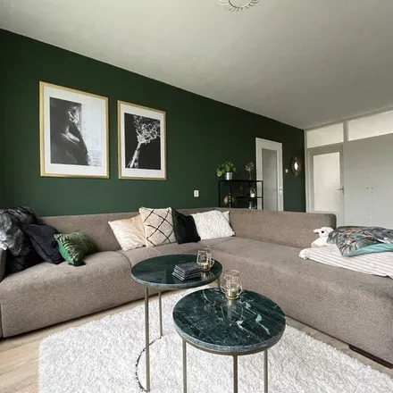 Rent this 4 bed apartment on Noord 29 in 8032 CK Zwolle, Netherlands
