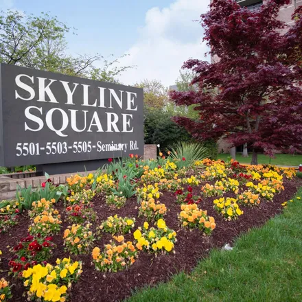 Rent this 1 bed apartment on Skyline Square South in 5501 Seminary Road, Falls Church
