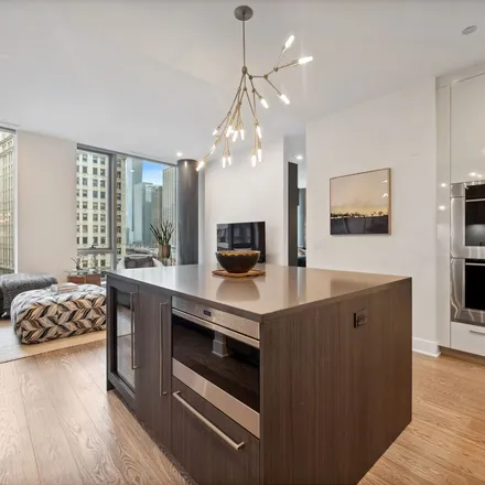 Image 3 - Lower North Wabash Avenue, Chicago, IL 60611, USA - Apartment for rent