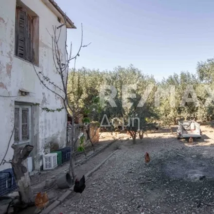 Image 6 - Ορφανού Νο5->/ΠΛΑΤΑΝΙΔΙΑ, Βόλου - Νεοχωρίου, Volos Municipality, Greece - House for sale