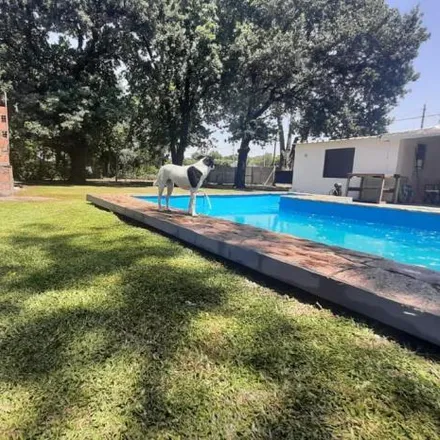 Image 2 - Colectora de RNA012 415, Departamento San Lorenzo, S2200 JUO Ricardone, Argentina - House for sale