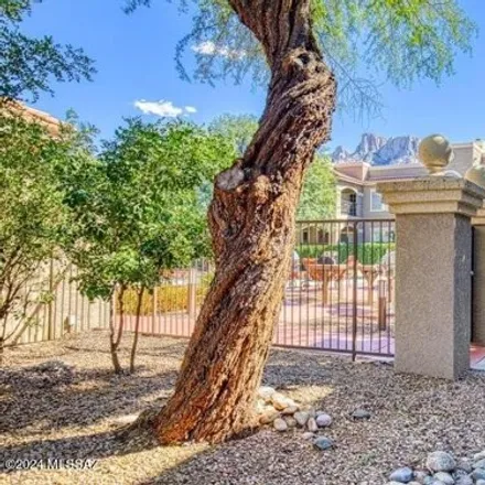Rent this 2 bed condo on East Pusch Wilderness Drive in Oro Valley, AZ