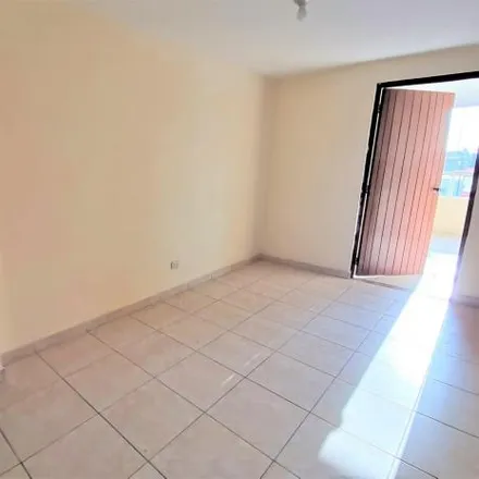 Rent this 1 bed apartment on Sheyla Palomino in Avenida Los Próceres de Huandoy, Los Olivos