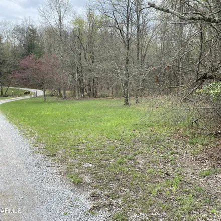 Image 5 - 3459 Possum Trot Road, Mount Sulphur, Rhea County, TN 37337, USA - House for sale