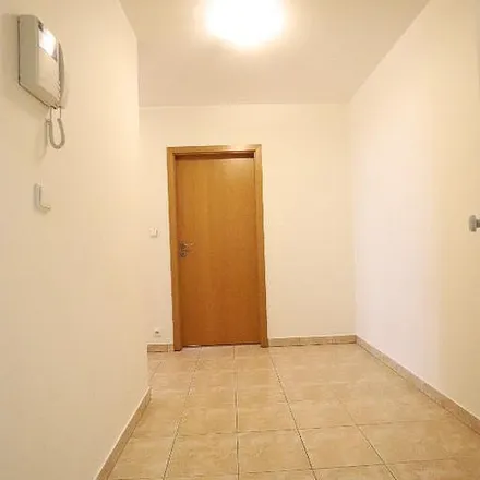 Image 5 - Paťanka, 160 00 Prague, Czechia - Apartment for rent