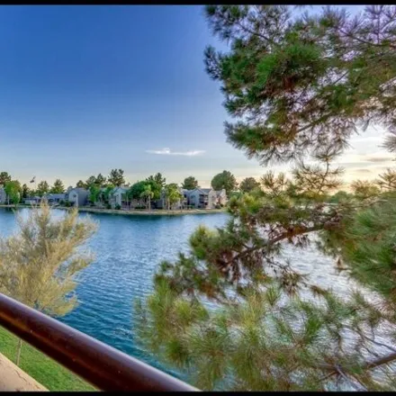 Rent this 2 bed apartment on East lake loop path in Chandler, AZ 85224