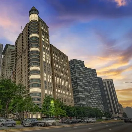 Image 1 - The Belvedere, 270 East Pearson Street, Chicago, IL 60611, USA - Condo for sale