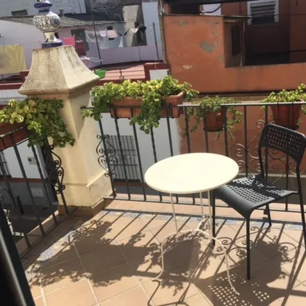 Image 9 - Seville, Santa Clara, AN, ES - House for rent