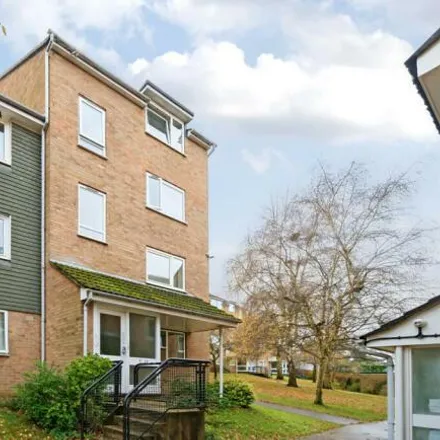 Rent this 1 bed apartment on Beauchamp Place in Oxford, OX4 3NE