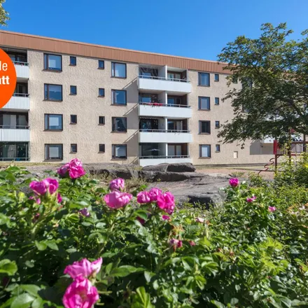 Rent this 3 bed apartment on Gustav Janzéns gata in Gustaf Janzéns gata, 601 76 Norrköping