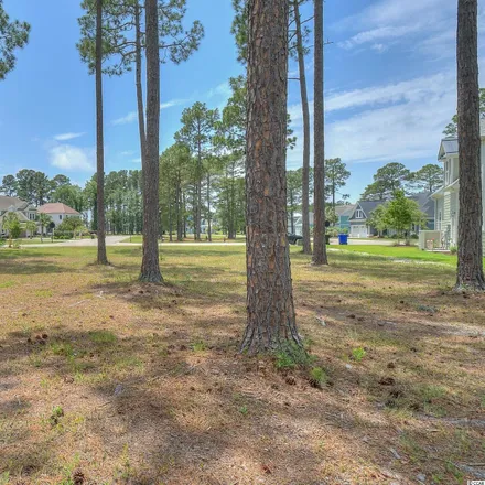 Image 5 - Ficus Drive, Horry County, SC 29578, USA - House for sale