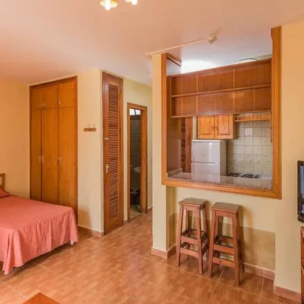 Rent this studio house on Oasis Apartments - Tenerife - Spain in Avenida Europa, 38660 Adeje