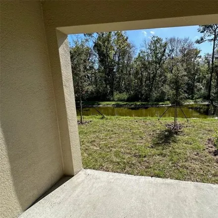 Image 8 - Nectar Flume Drive, Fivay Junction, Pasco County, FL 34673, USA - House for rent